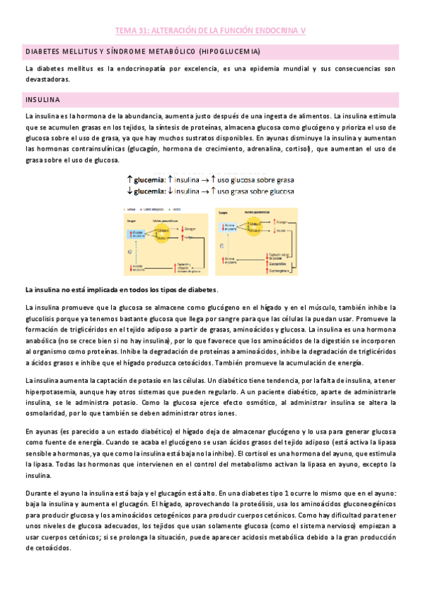 Miniatura del documento Tema-5-endocrino.pdf