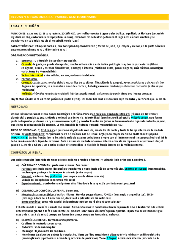 Miniatura del documento Resumen-Tema-1-Rinon.pdf