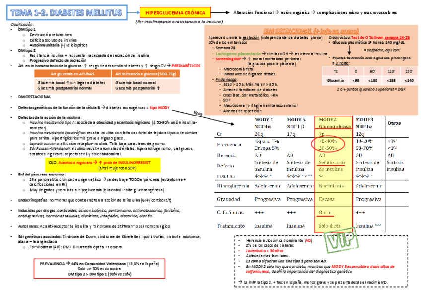 Miniatura del documento Tema 1-2. Diabetes (I).pdf