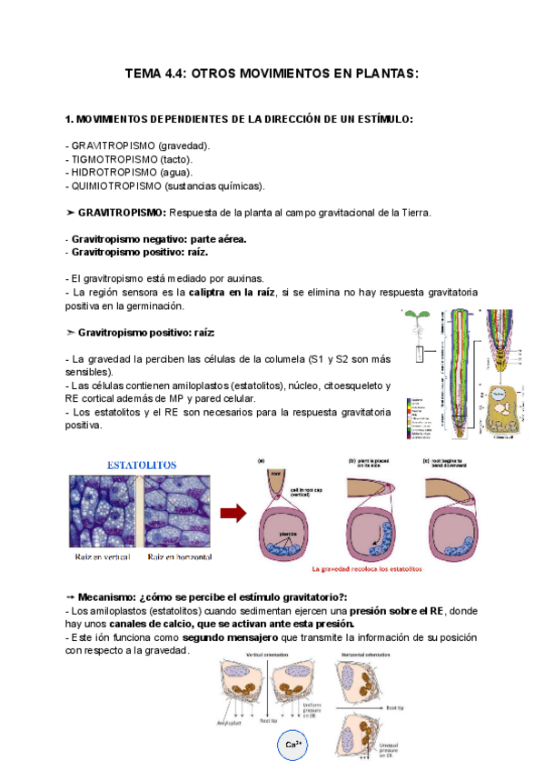 Miniatura del documento TEMA-4.4-OTROS-MOVIMIENTOS-EN-PLANTAS.pdf