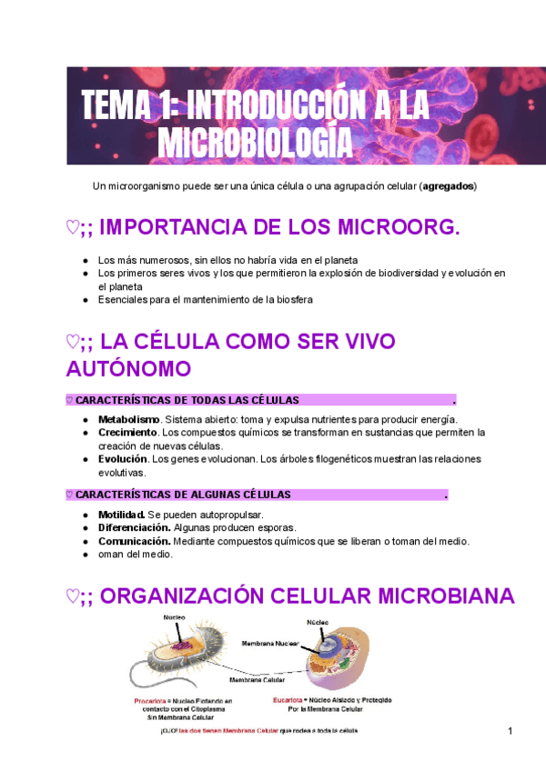 Miniatura del documento Microbiologia.pdf