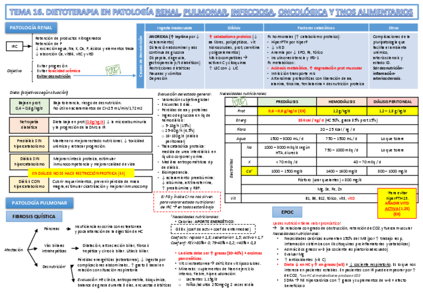 Miniatura del documento Tema 16. Dietoterapia en renal- pulmonar, oncologico....pdf
