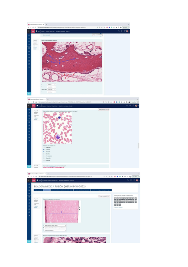 Miniatura del documento Parcial-biologia-histolgia.pdf
