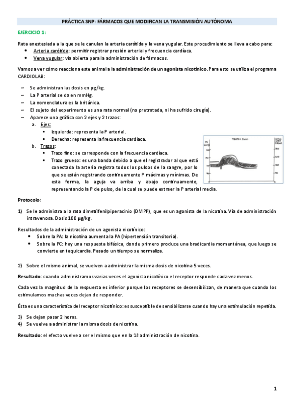 Miniatura del documento PRACTICA-SNP.pdf