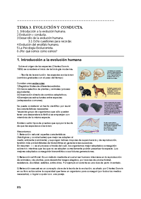 Miniatura del documento Psicobiologia-temas-3-hasta-el-8.pdf