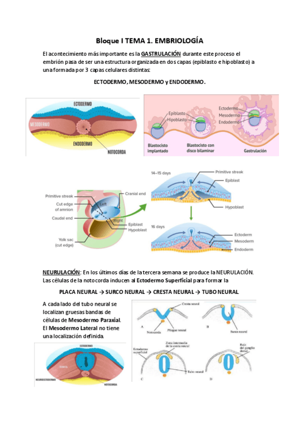 Miniatura del documento BLOQUE1.pdf