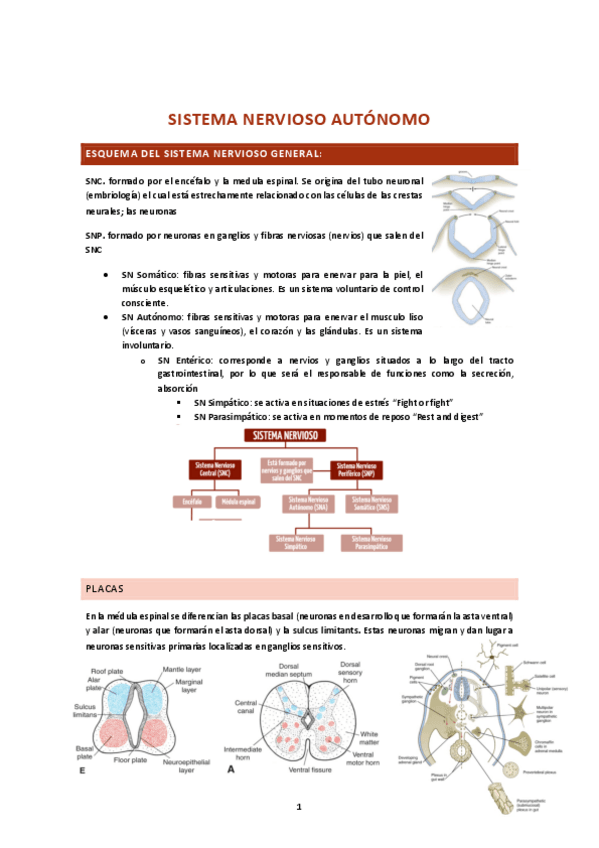 Miniatura del documento SNA.pdf