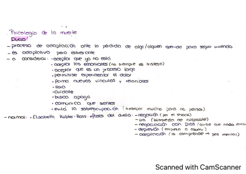Miniatura del documento psicologia-de-la-muerte.pdf