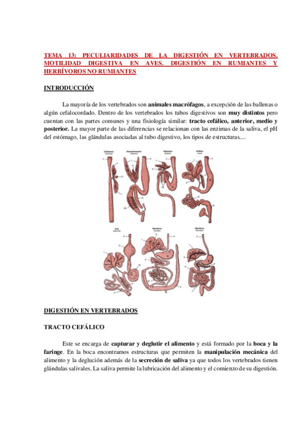 Miniatura del documento AP-FISIO-ANIMAL-COMPARADA-TEMA-13-WH.pdf
