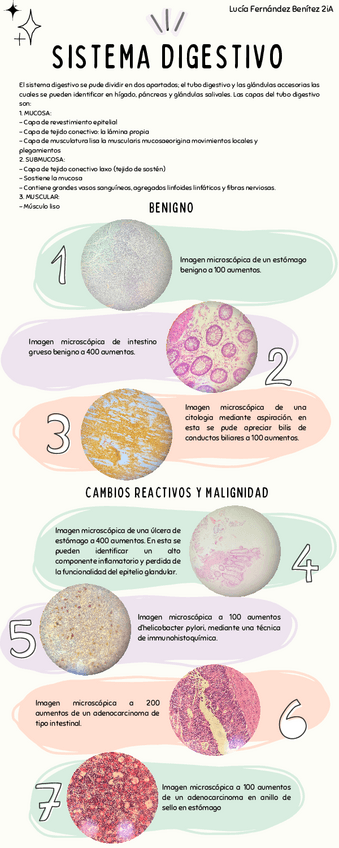 Miniatura del documento ATLAS-SISTEMA-DIGESTIVO.pdf