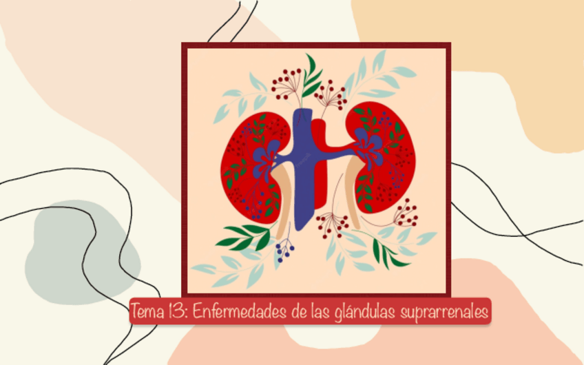 Miniatura del documento Tema-13-Enfermedades-de-las-glandulas-suprarrenales.pdf