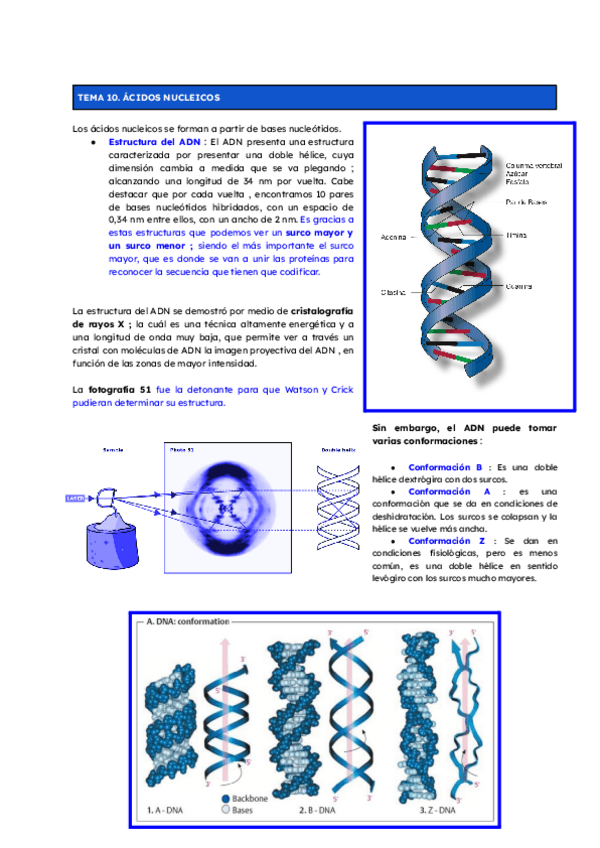 Miniatura del documento Prueba-evaluativa-VI.pdf