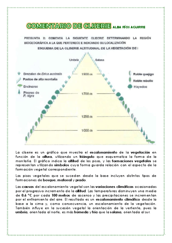 Miniatura del documento PRACTICA-COMENTARIO-DE-CLISERIE.pdf