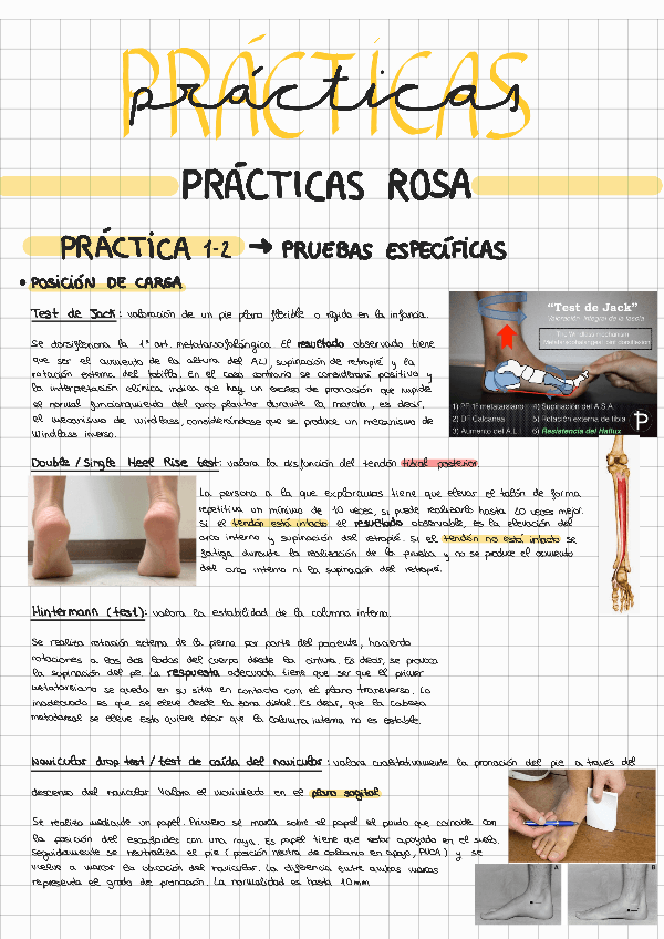 Miniatura del documento PRACTICAS-ROSA.pdf