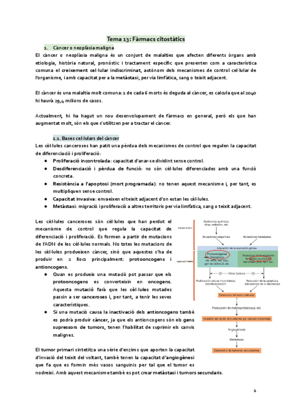Miniatura del documento Tema-13-Farmacs-citostatics.pdf