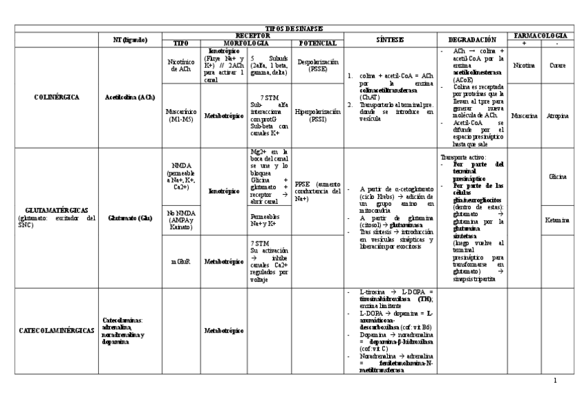 Miniatura del documento TABLA tipos-sinapsis-BYN.pdf