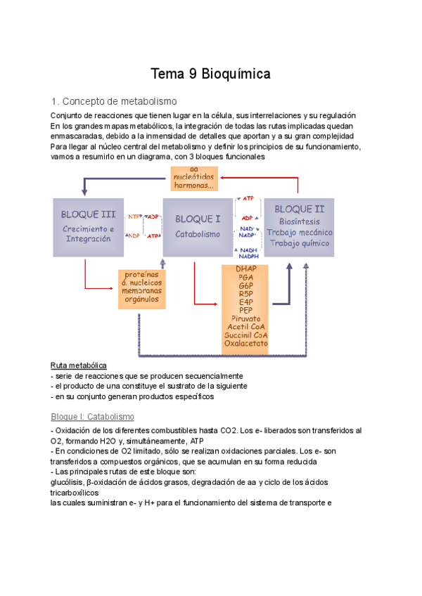Miniatura del documento Tema-9-Bioquimica.pdf