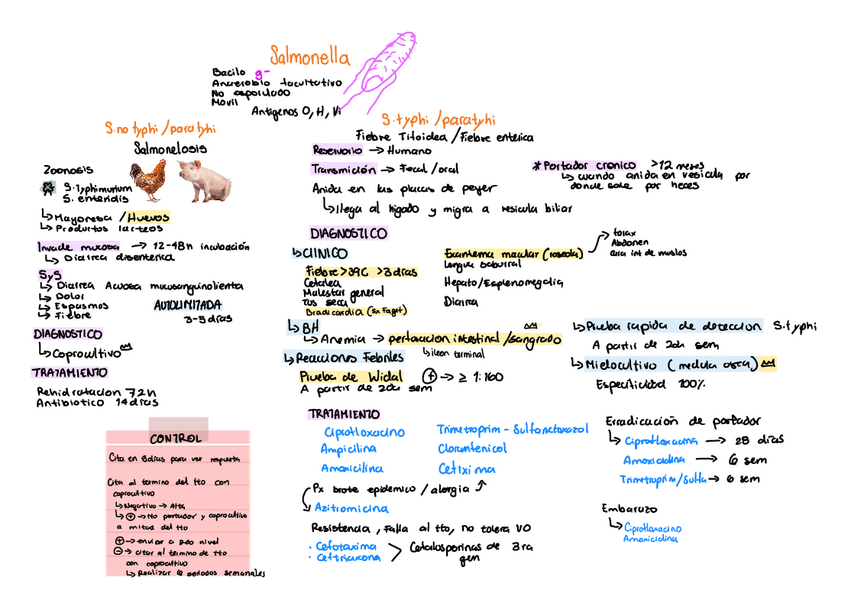 Miniatura del documento Salmonella.pdf