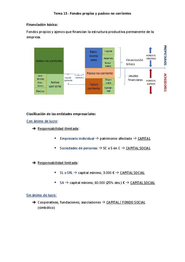 Miniatura del documento Tema-13-Fondos-propios-y-pasivos-no-corrientes.pdf