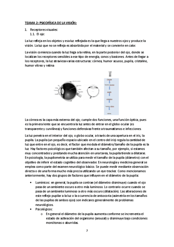 Miniatura del documento tema-2-percepcion.pdf