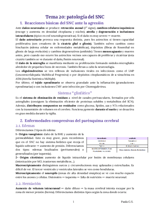 Miniatura del documento AP-TEMA 20(18) y 21(19) RESUMEN 23-24.pdf