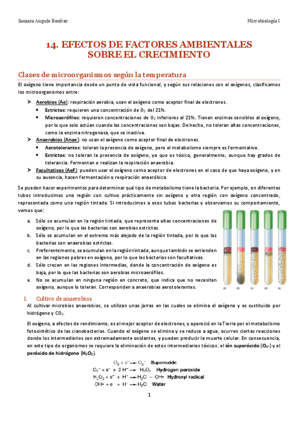 Miniatura del documento TEMA-14.-EFECTOS-DE-FACTORES-AMBIENTALES-SOBRE-EL-CRECIMIENTO.pdf
