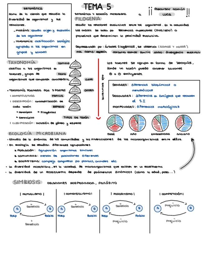 Miniatura del documento TEMA-6.pdf