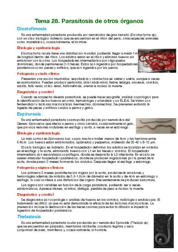 Miniatura del documento Tema-28-Parasitosis-de-otros-organos.pdf