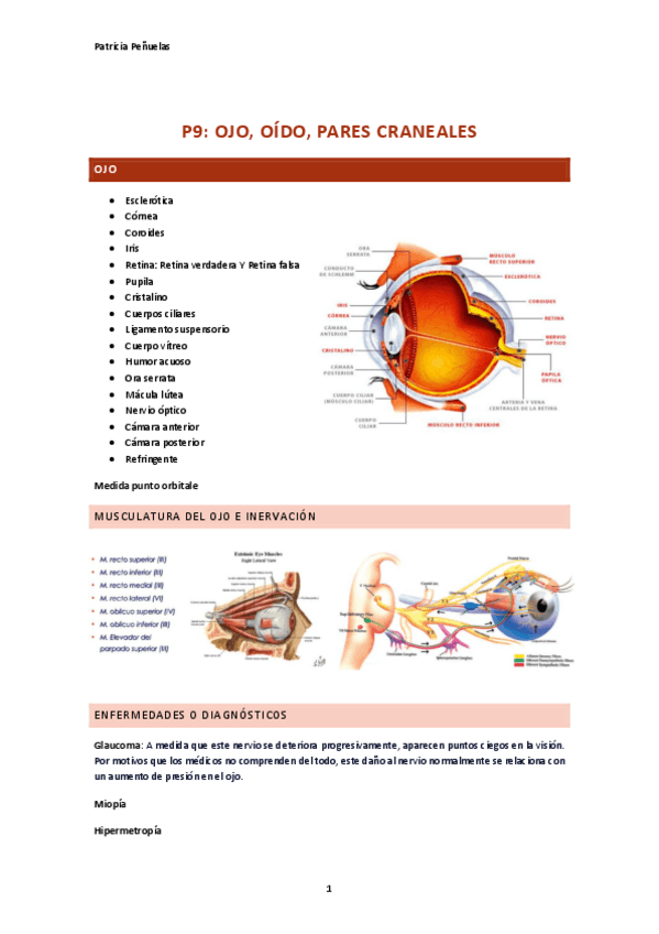 Miniatura del documento Practica-9.-Ojo-Oido-y-pares-craneales.pdf