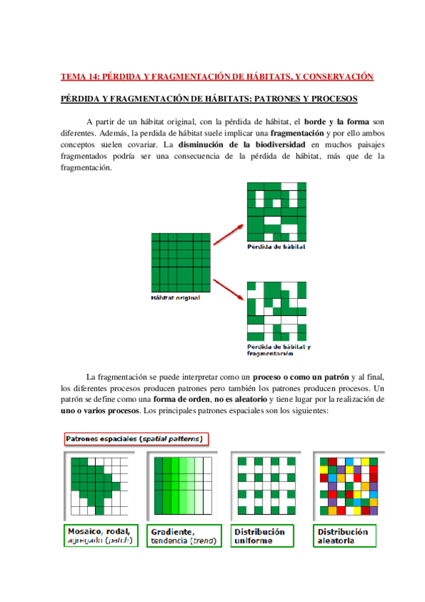 Miniatura del documento AP-BIOCONS-TEMA-14-WH.pdf