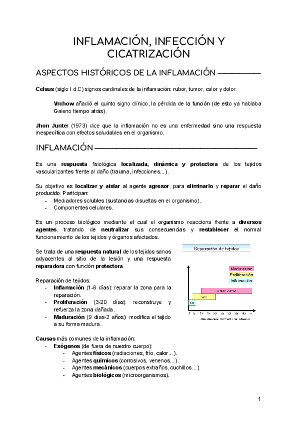 Miniatura del documento Inflamacion-e-infeccion.pdf