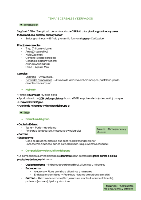 Miniatura del documento Tema-16-Cereales-y-derivados.pdf