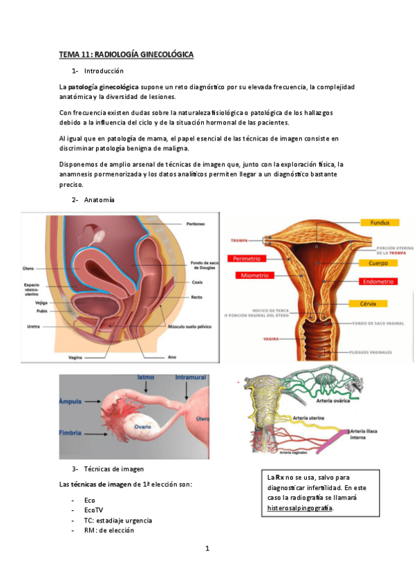 Miniatura del documento TEMA-11-radiologia-gine.pdf