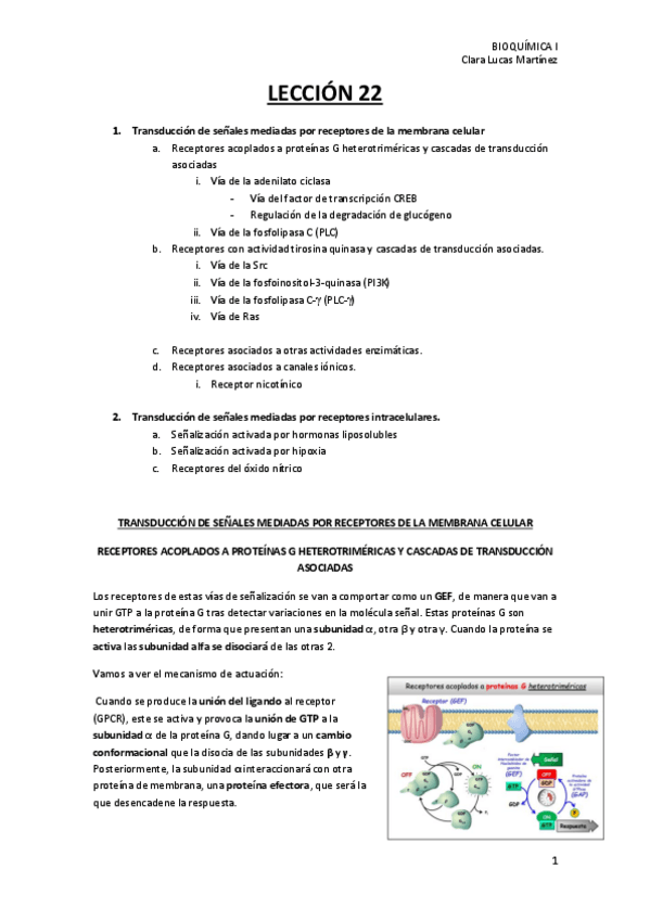 Miniatura del documento LECCION-22.pdf