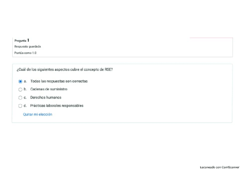 Miniatura del documento TEST-SOSTENIBILIDAD-2024.pdf