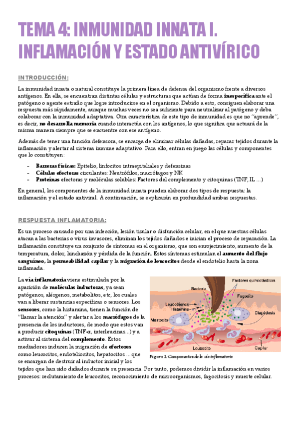 Miniatura del documento TEMA-4-INMUNIDAD-INNATA-1.pdf