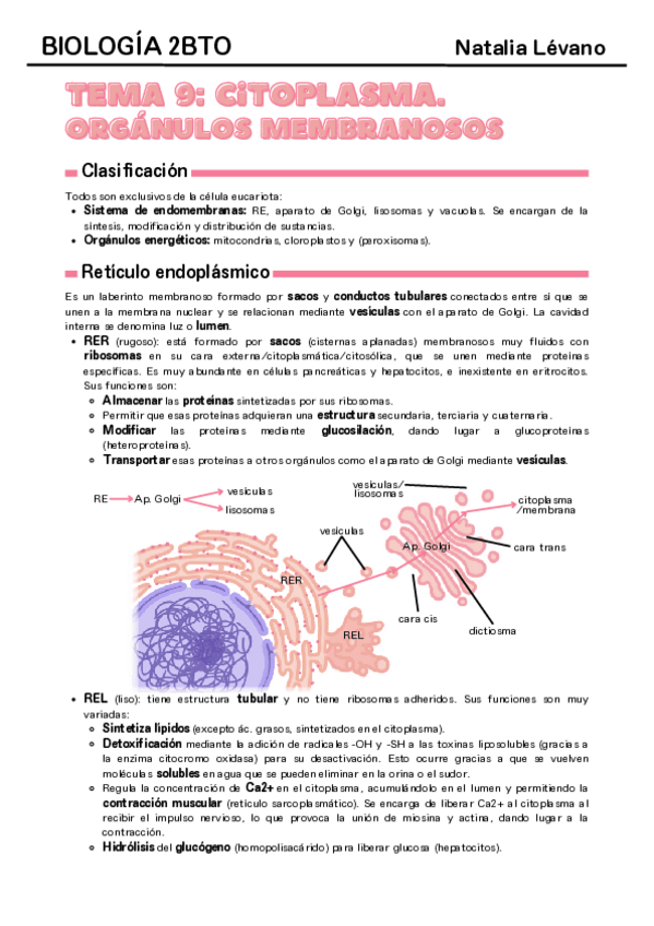 Miniatura del documento Tema-9-citoplasma-organulos-membranosos.pdf