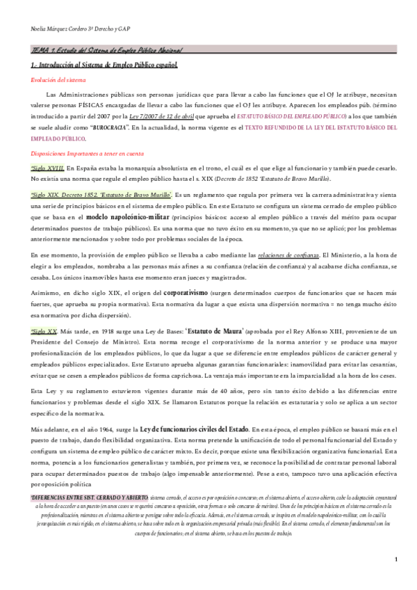 Miniatura del documento Temas-Reg.-Empleo-Pub.-COMPLETOS.pdf