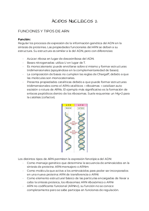 Miniatura del documento Bioquimica-tema-6.2.pdf