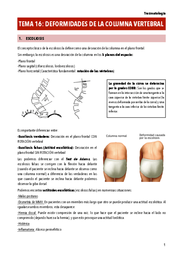 Miniatura del documento T16-DEFORMIDADES-DE-LA-COLUMNA-VERTEBRAL.pdf