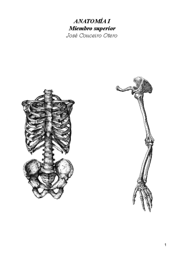 Miniatura del documento Miembro-superior-Couceiro.pdf