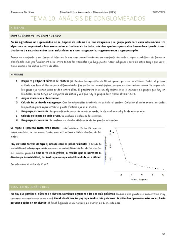 Miniatura del documento TEMA-10.pdf
