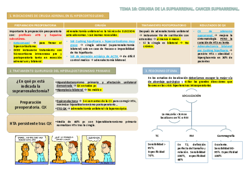 Miniatura del documento TEMA 16 ENDOCRINO.pdf