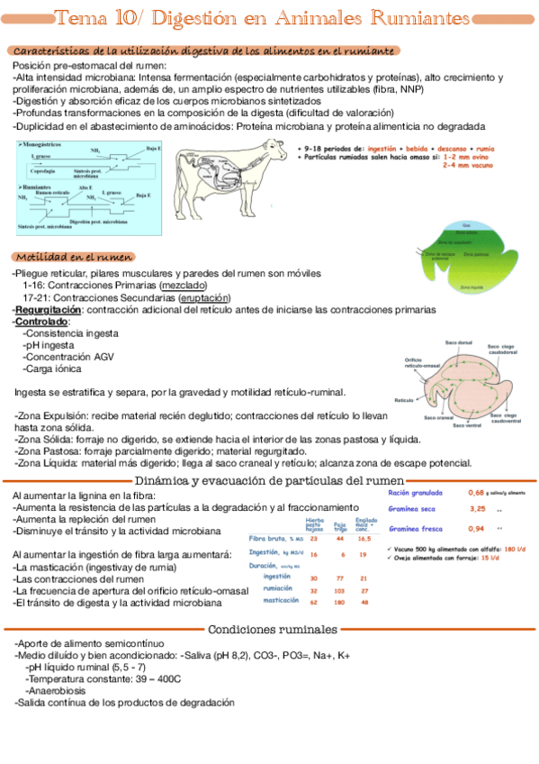 Miniatura del documento Tema-10.pdf