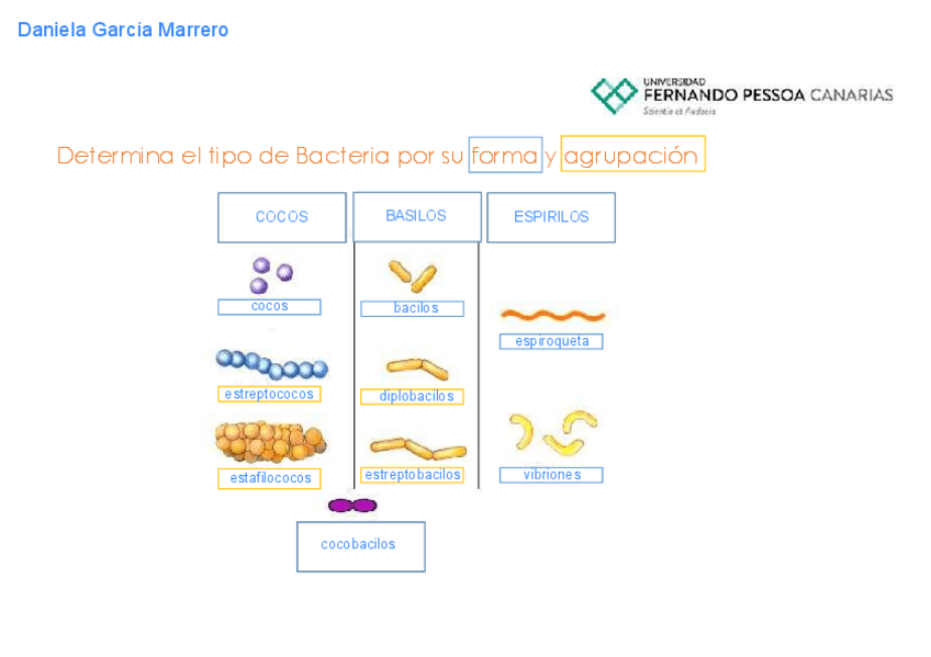 Miniatura del documento I01-Daniela-Garcia-Marrero.pdf