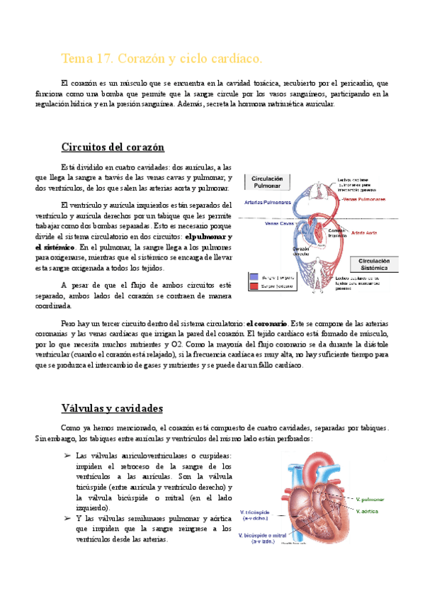 Miniatura del documento Tema-17.-Corazon-y-ciclo-cardiaco.pdf