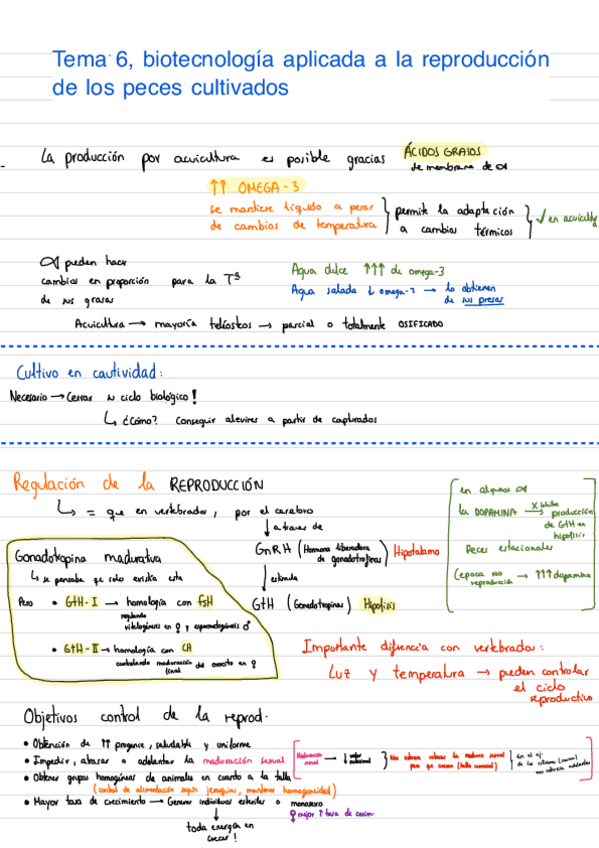 Miniatura del documento Esquemas-animal.pdf