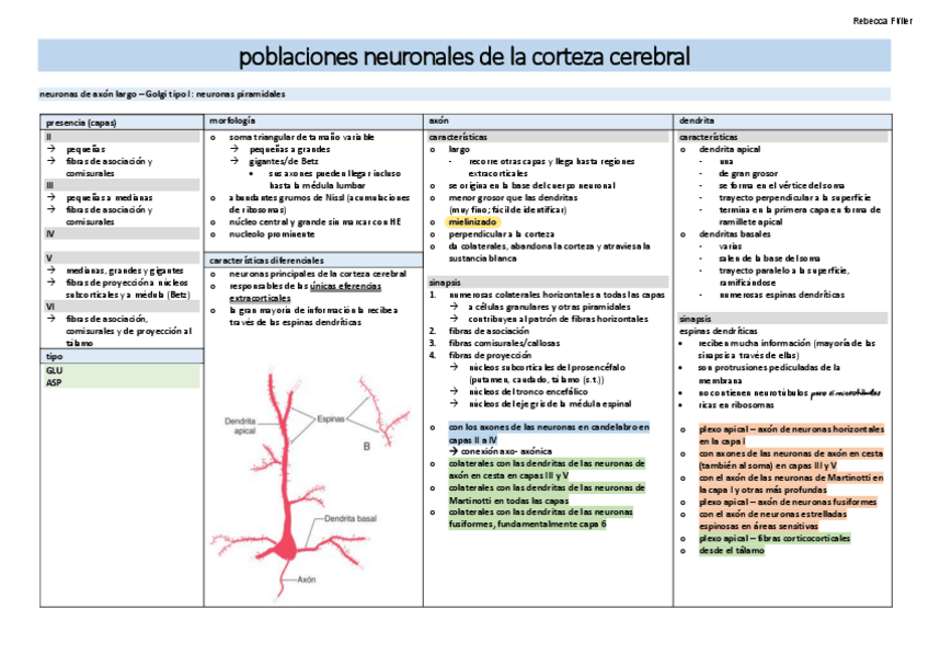 Miniatura del documento organografia-neuro-TABLAS-y-ESQUEMAS.pdf