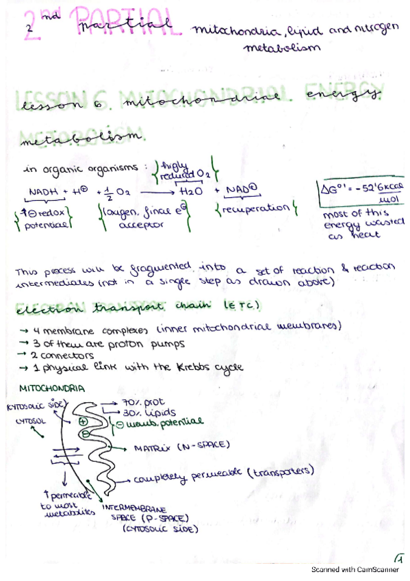 Miniatura del documento Teoria-segundo-parcial.pdf
