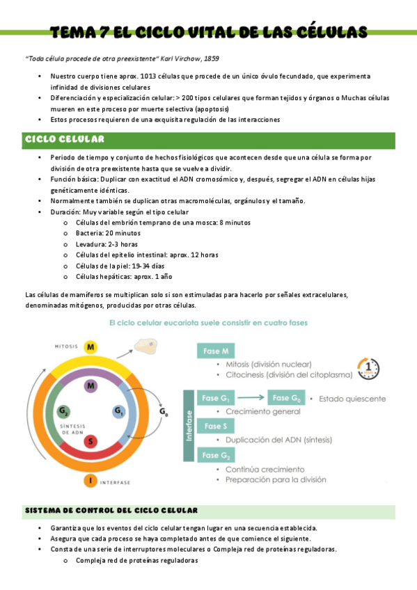 Miniatura del documento Biologia-T7-El-ciclo-vital-de-las-celulas.pdf